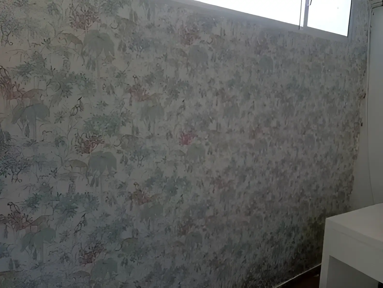Los Pintores Segovia colocando papel pintado decorativo en pared completa de habitación